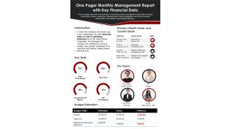 One Pager Monthly Management Report With Key Financial Data PDF Document PPT Template