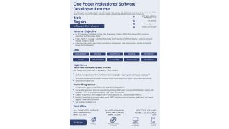 One Pager Professional Software Developer Resume PDF Document PPT Template