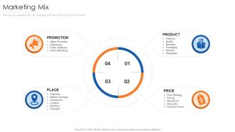 Online Marketing Approach And Execution Marketing Mix Structure PDF