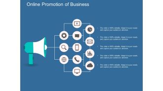 Online Promotion Of Business Ppt Powerpoint Presentation Professional Graphics Download