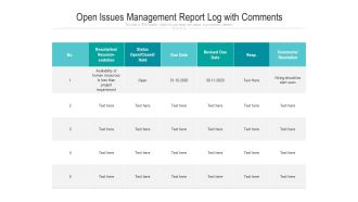Open Issues Management Report Log With Comments Ppt PowerPoint Presentation Gallery Ideas PDF