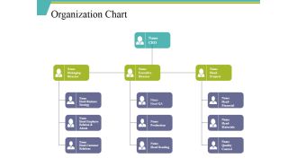 Organization Chart Ppt PowerPoint Presentation File Background Designs