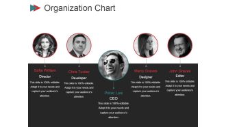 Organization Chart Ppt PowerPoint Presentation Gallery Graphics Example