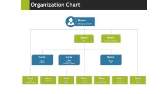 Organization Chart Ppt PowerPoint Presentation Inspiration Slide Download