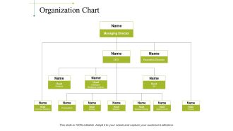 Organization Chart Ppt PowerPoint Presentation Outline Design Templates
