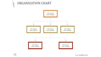 Organization Chart Ppt PowerPoint Presentation Templates