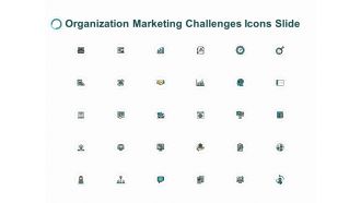 Organization Marketing Challenges Icons Slide Ppt PowerPoint Presentation Gallery Portrait