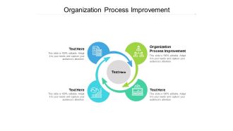 Organization Process Improvement Ppt PowerPoint Presentation Slides Inspiration Cpb Pdf