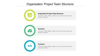Organization Project Team Structure Ppt PowerPoint Presentation Inspiration Portfolio Cpb