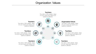 Organization Values Ppt PowerPoint Presentation Layouts Graphics Pictures Cpb