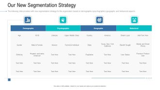 Organizational Development And Promotional Plan Our New Segmentation Strategy Brochure PDF