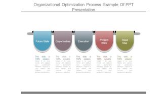 Organizational Optimization Process Example Of Ppt Presentation