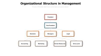 Organizational Structure In Management Ppt PowerPoint Presentation Infographics Example Topics
