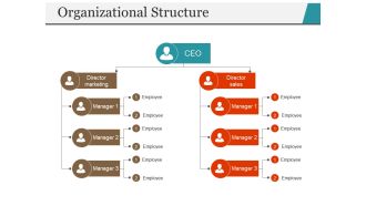 Organizational Structure Ppt PowerPoint Presentation File Icon