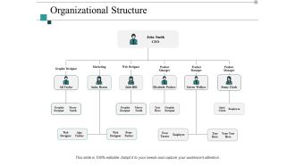 Organizational Structure Ppt PowerPoint Presentation Pictures Maker