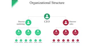 Organizational Structure Ppt PowerPoint Presentation Show Slides