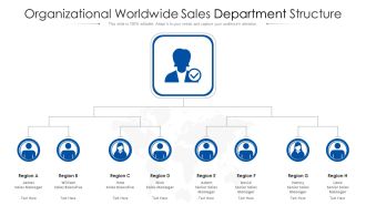 Organizational Worldwide Sales Department Structure Ppt PowerPoint Presentation File Brochure PDF