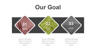 Our Goal Ppt PowerPoint Presentation Infographics Layout Ideas