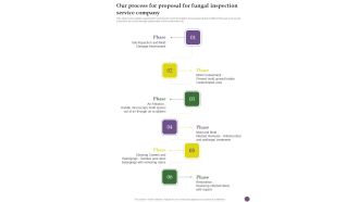 Our Process For Proposal For Fungal Inspection Service Company One Pager Sample Example Document