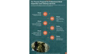 Our Process Proposal For Professional Mold Inspection And Cleanup Services One Pager Sample Example Document