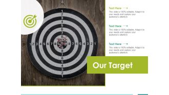 Our Target Ppt PowerPoint Presentation Styles Vector