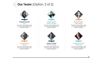 Our Team Option 2 Of 2 Ppt PowerPoint Presentation Show Topics