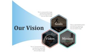 Our Vision Ppt PowerPoint Presentation Layouts Professional