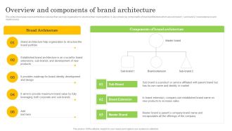 Overview And Components Of Brand Architecture Formats PDF