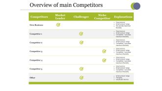 Overview Of Main Competitors Ppt PowerPoint Presentation Gallery Graphics Tutorials