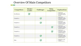 Overview Of Main Competitors Ppt PowerPoint Presentation Styles Portrait