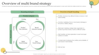 Overview Of Multi Brand Strategy Ppt PowerPoint Presentation File Show PDF