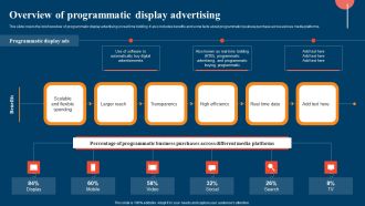 Overview Of Programmatic Display Advertising Ppt File Infographics PDF