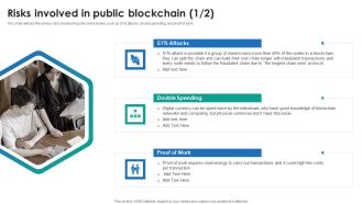 P2P Ledger Risks Involved In Public Blockchain Formats PDF