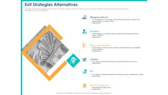 PPM Private Equity Exit Strategies Alternatives Ppt PowerPoint Presentation Pictures Vector PDF