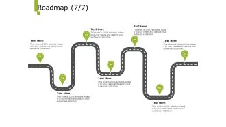 Paysheet Offshoring Company Roadmap Ppt Styles Vector PDF