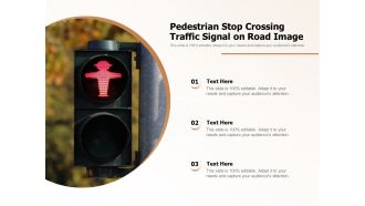 Pedestrian Stop Crossing Traffic Signal On Road Image Ppt PowerPoint Presentation File Background PDF