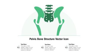 Pelvis Bone Structure Vector Icon Ppt PowerPoint Presentation Gallery Gridlines PDF