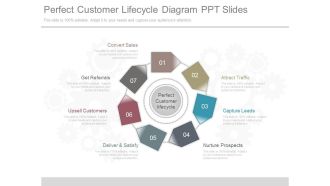 Perfect Customer Lifecycle Diagram Ppt Slides