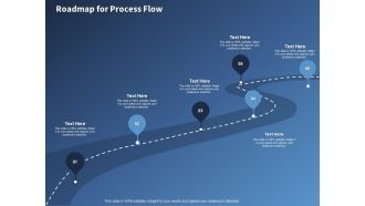 Performance Assessment Sales Initiative Report Roadmap For Process Flow Ppt Show Guidelines PDF