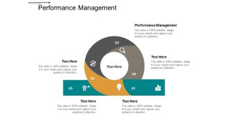Performance Management Ppt PowerPoint Presentation Styles Visuals