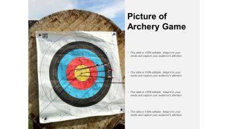 Picture Of Archery Game Ppt PowerPoint Presentation Gallery Example File