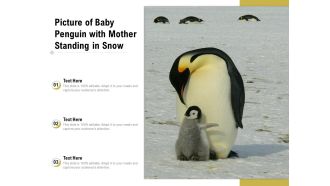 Picture Of Baby Penguin With Mother Standing In Snow Ppt PowerPoint Presentation File Show PDF