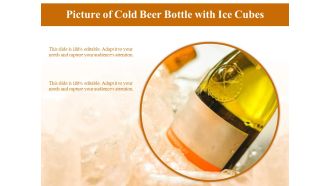 Picture Of Cold Beer Bottle With Ice Cubes Ppt PowerPoint Presentation Background PDF