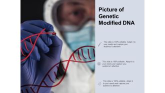 Picture Of Genetic Modified DNA Ppt PowerPoint Presentation Infographic Template Example Introduction