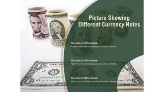 Picture Showing Different Currency Notes Ppt PowerPoint Presentation Icon Topics