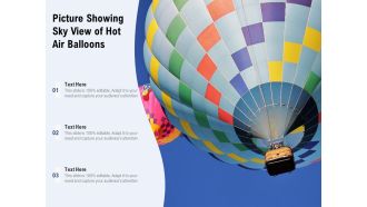 Picture Showing Sky View Of Hot Air Balloons Ppt PowerPoint Presentation File Slides PDF