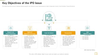 Pitch Book For Investor Funding Contract Key Objectives Of The IPO Issue Inspiration PDF