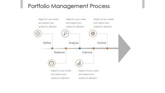 Portfolio Management Process Ppt PowerPoint Presentation Backgrounds