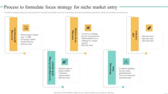 Price Leadership Technique Process To Formulate Focus Strategy For Niche Market Entry Brochure PDF