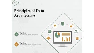 Principles Of Data Architecture Ppt PowerPoint Presentation Inspiration